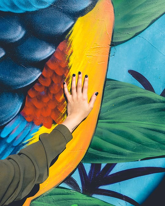 Detalles de exposiciones artísticas logrados en casa